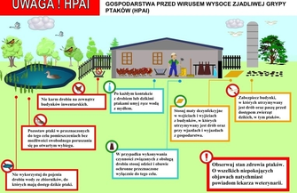 Gmina Wschowa przeciwko ptasiej grypie oznakowane wjazdy do strefy zakażenia
