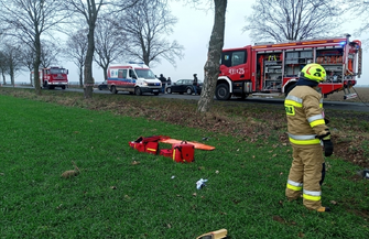 Dachowanie między Konradowem a Starymi Drzewcami
