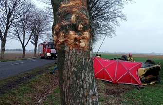 Dachowanie między Konradowem a Starymi Drzewcami