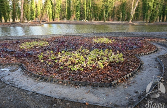 Mamy zdjęcia z Parku w Sławie