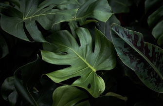 Taras z ogrodem - jak połączyć te dwa elementy