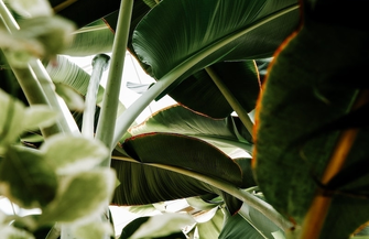 Taras z ogrodem - jak połączyć te dwa elementy