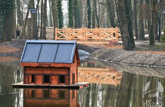 Schronienie dla kaczek