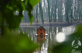 Schronienie dla kaczek