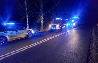 Wpadła do rowu i zatrzymała się na drzewie