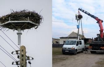 Bociany powrócą do Wróblowa na nową platformę FOTO