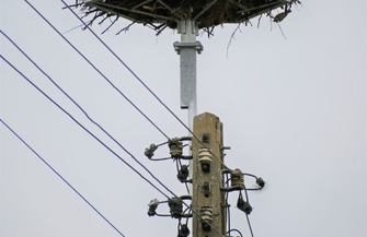 Bociany powrócą do Wróblowa na nową platformę FOTO