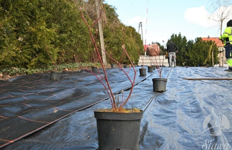 Prace na Placu Pamięci Narodowej w Sławie