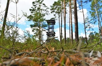 Wieża widokowa Joanna została zamknięta.