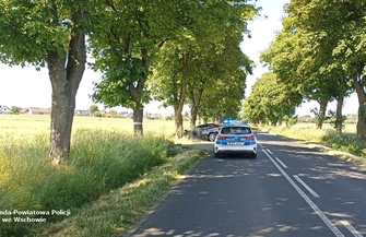 Tragiczny wypadek na trasie Konradowo - Stare Drzewce. Kierowca Forda nie przeżył