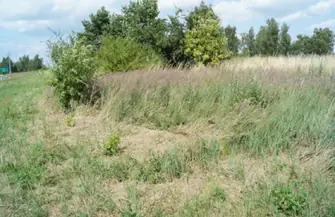 Sława. Działka o przeznaczeniu mieszkaniowo-usługowym wystawiona na sprzedaż