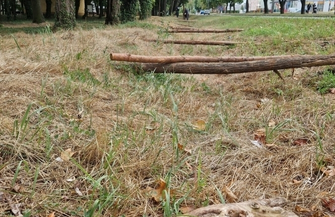 Park Wolsztyński we Wschowie. Rozpoczęło sięgrodzenie terenu budowy FOTO