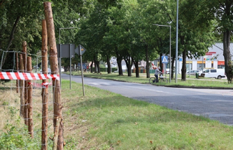 Pasy w okolicy Parku Wolsztyńskiego dostępne dla pieszych i rowerzystów