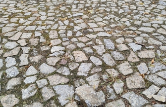 I LO we Wschowie padło ofiarą aktów wandalizmu FOTO