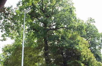 Szlichtyngowa. Droga wzdłuż Parku Górczyńskiego oświetlona