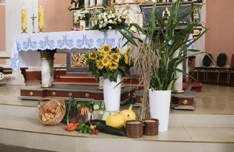 Ciosaniec. Dziękczynienie za plony i festyn parafialny FOTO