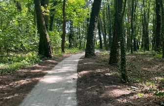 Intensywne prace w Parku Wolsztyńskim. Tor rowerowy i alejki już w budowie FOTO