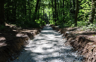 Intensywne prace w Parku Wolsztyńskim. Tor rowerowy i alejki już w budowie FOTO