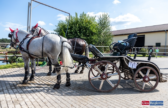 Na Ranczo Rubin trwająMistrzostwa Polski Amatorów w Powożeniu Zaprzęgami Konnymi