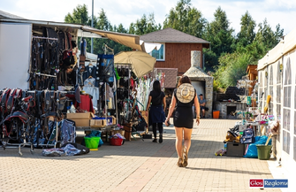 Na Ranczo Rubin trwająMistrzostwa Polski Amatorów w Powożeniu Zaprzęgami Konnymi