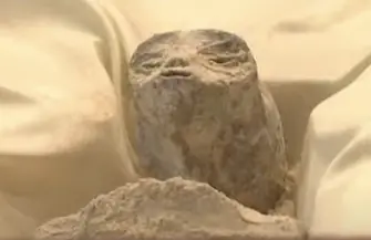 UFO w Meksyku W Kongresie zaprezentowano 1000-letnie ciała obcych