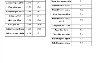 Nowe linie autobusowe w gminie Szlichtyngowa