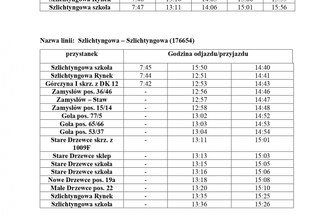 Nowe linie autobusowe w gminie Szlichtyngowa