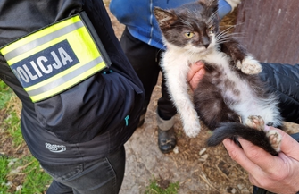 Psy i koty trzymał jak bydło. 47-latkowi grozi 5 lat więzienia FOTO