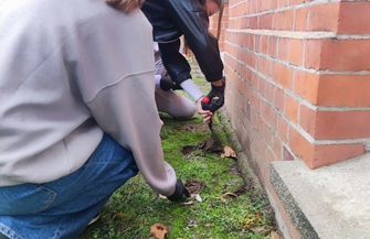 Na wiosnęprzed Zanem zakwitnąkrokusy. Kolejna szczytna akcja