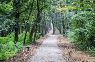 W Parku Wolsztyńskim we Wschowie powstaje rowerowy raj FOTO