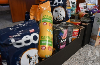 Młodzi mieszkańcy Sławy pomagają czworonogom przetrwać zimę