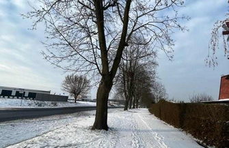 Wyłoniono wykonawcęścieżki rowerowej do Lginia. Burmistrz Antkowiak Prace rozpoczną sięna wiosnę