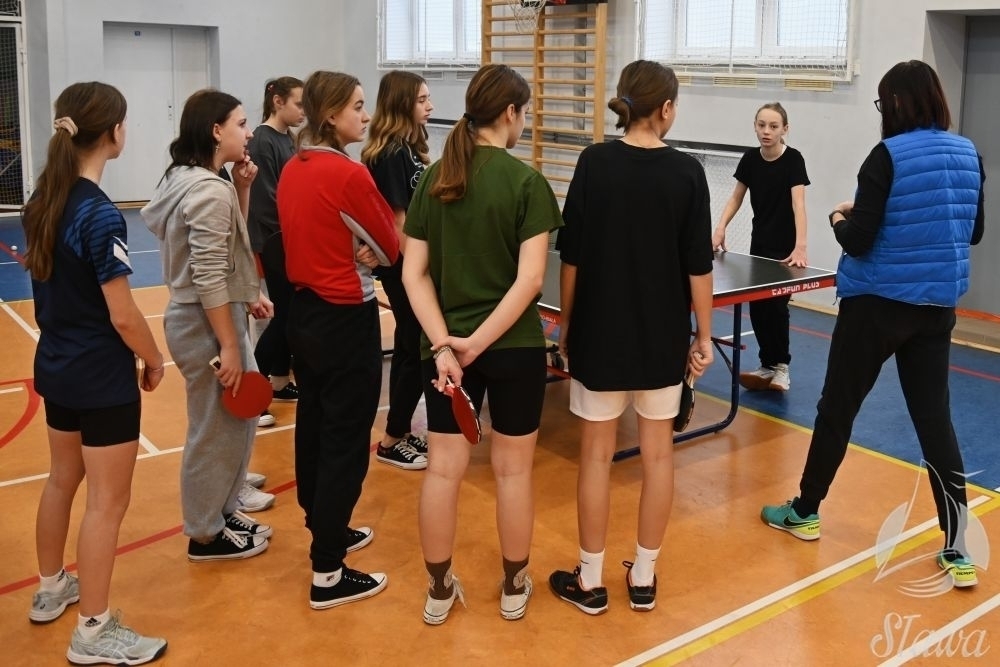 Najlepsi pojadąna zawody wojewódzkie. Turniej Tenisa Stołowego w Sławie FOTO