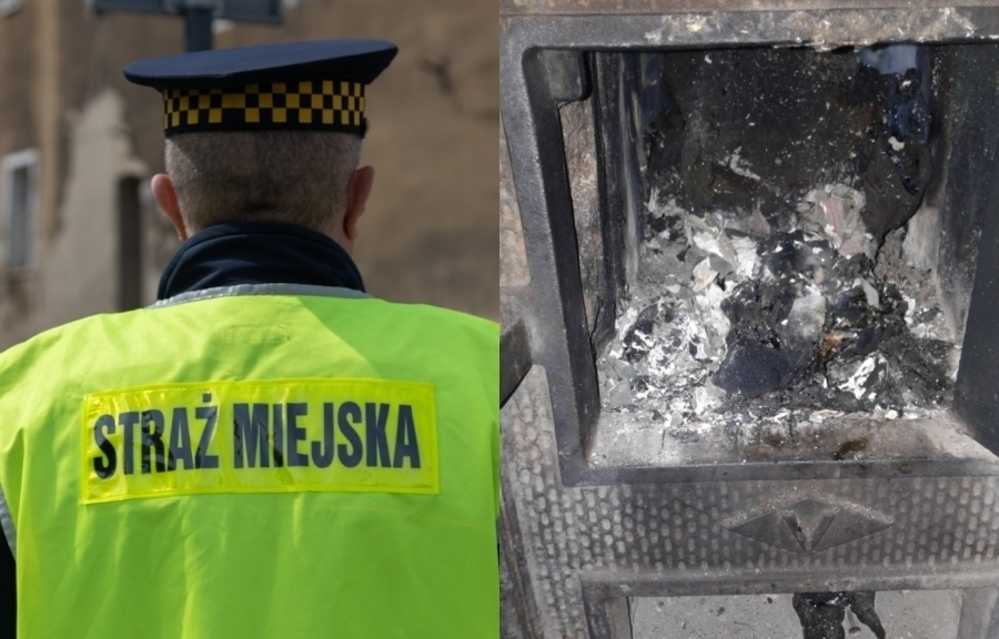 Truciciel ze Wschowy przyłapany. W trakcie kontroli zaprzeczał
