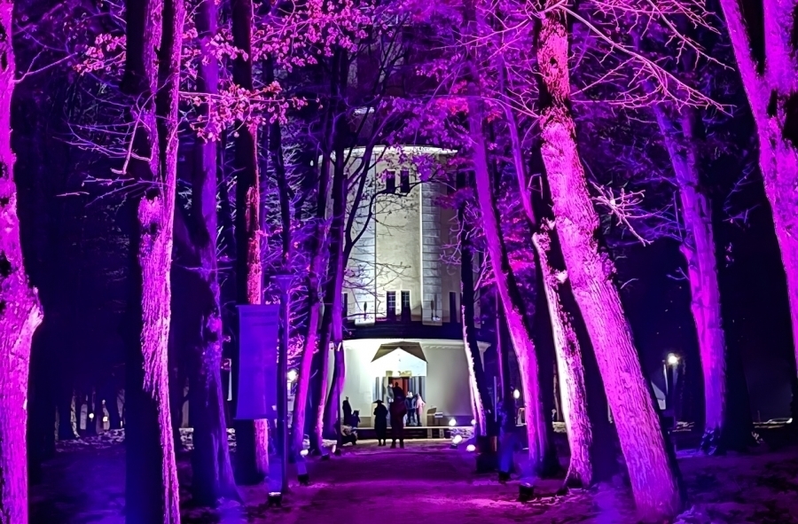 Głosuj na Park Wolsztyński Wschowa walczy o tytuł Inwestycja z perspektywą