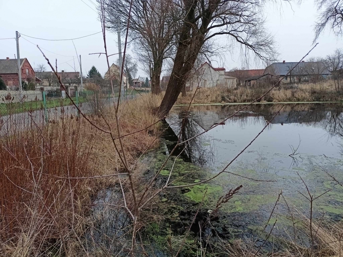 Staw w Goli zostanie wyczyszczony. Właśnie podpisano umowę FOTO