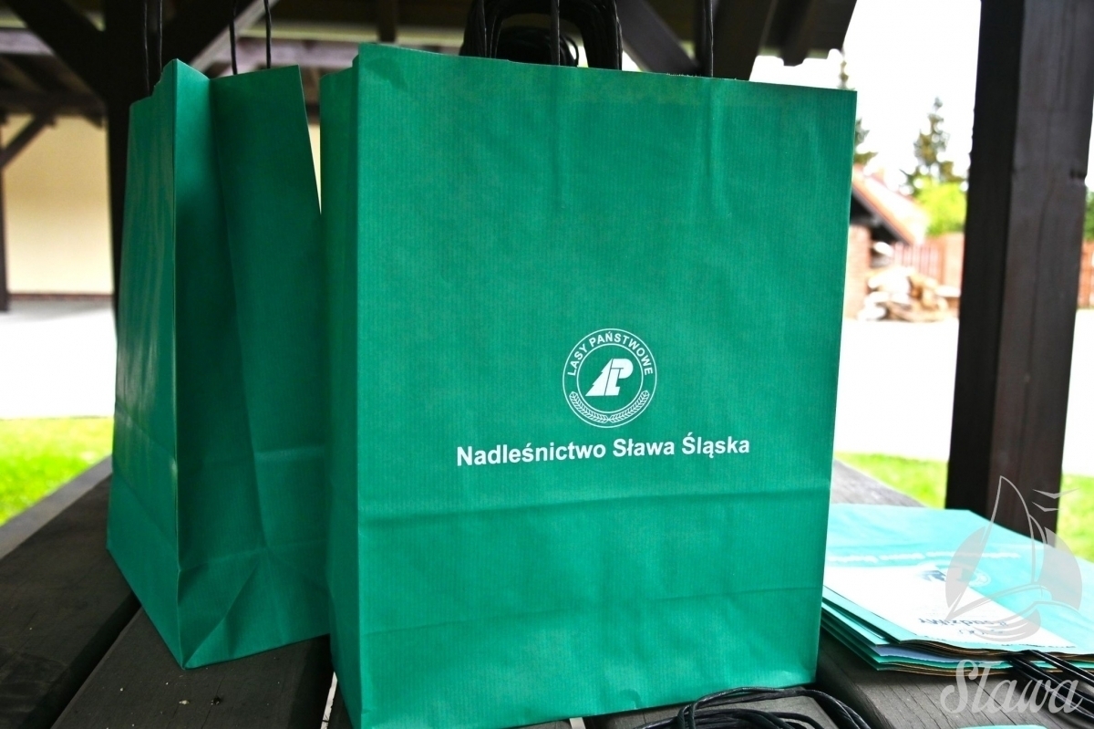 Do 1500 odbierz darmowąsadzonkę. Akcja sadziMY Nadleśnictwa Sława Śląska
