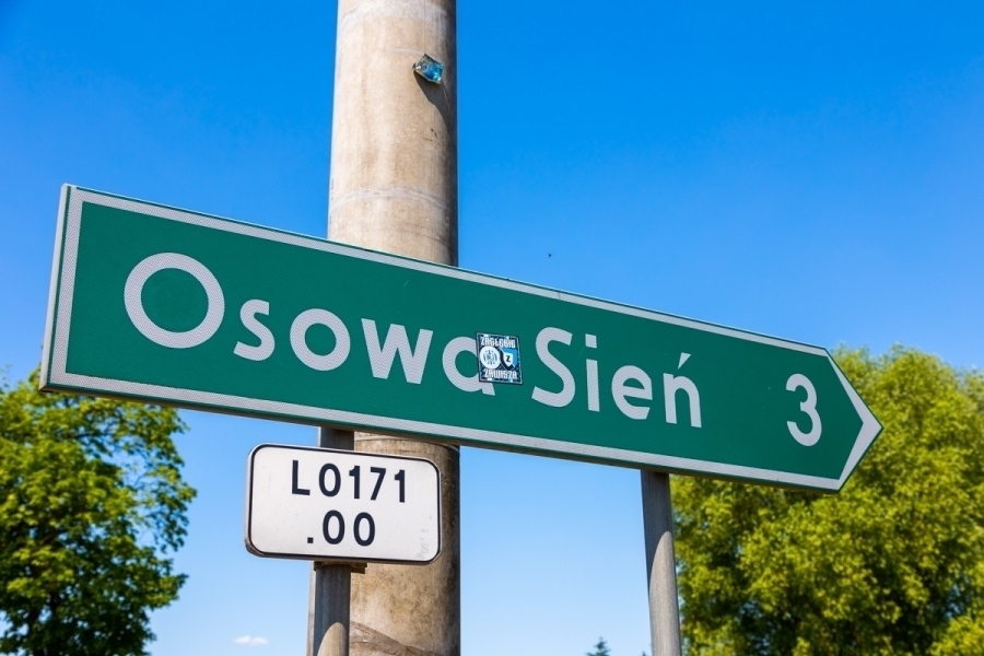 Utrudnienia drogowe w Osowej Sieni. Jakie zmiany czekają kierowców