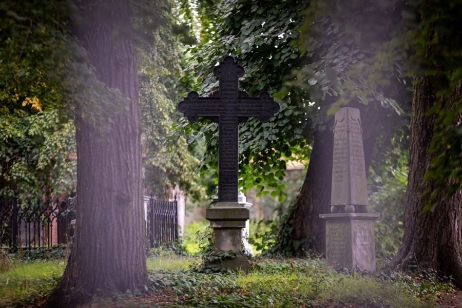 Poezja i muzyka w Lapidarium. Staszic zaprasza na spotkanie pt. Oswoićprzemijanie