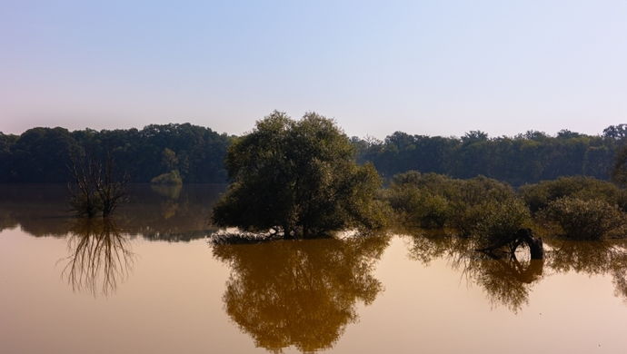 Stan klęski żywiołowej w Lubuskiem. Rozporządzenie weszło w życie