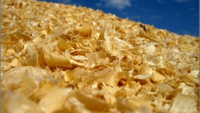 Zakup odciągu do trocin - na co zwrócić uwagę oprócz mocy?