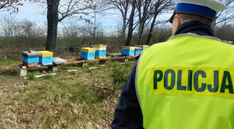 W okolicy Wschowy ujawniono kradzież rodzin pszczelich. Sprawą zajmuje się policja