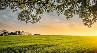 Wyzwania i rozwiązania dla rolnictwa w obliczu zmian klimatycznych