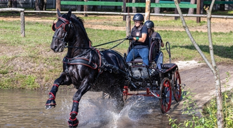 Będzie się działo na Ranczo Rubin. W majówkę odbywają się zawody jeździeckie