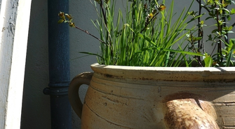 Trawy ozdobne w donicach — świeże podejście do aranżacji przestrzeni wokół domu