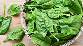 Szpinak w Ogrodzie: Jak Uprawiać i Czerpać Korzyści z Zielonych Liści