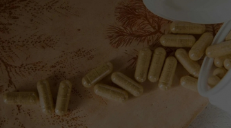 Wpływ Suszonych Muchomorów na Zdrowie Człowieka