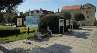 Woda na wschowskim Rynku. Wystawa „Woda - H2O Art”