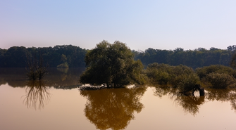 Stan klęski żywiołowej w Lubuskiem. Rozporządzenie weszło w życie