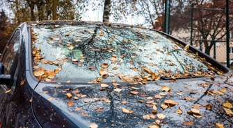 Jak jesienna wilgoć wpływa na Twój samochód?